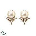 earring.webp